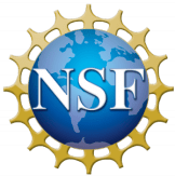 nsf logo 300px