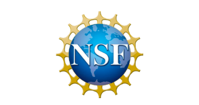 NSF logo: a blue globe surrounded by gold spokes with "NSF" in white in the middle
