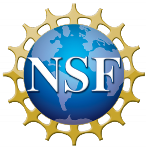 NSF logo